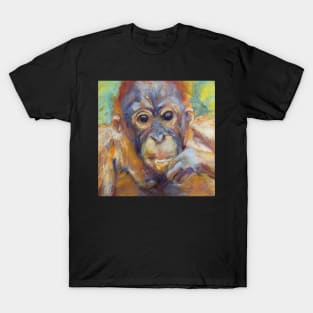 Amin 1 - Project Orangutan, the Exhibition T-Shirt